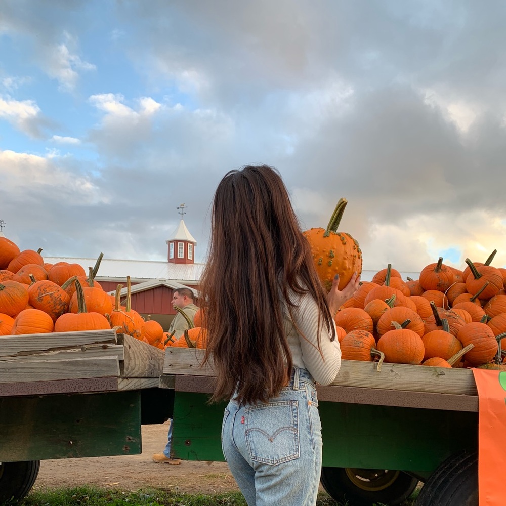 Meet your Posher, Jess